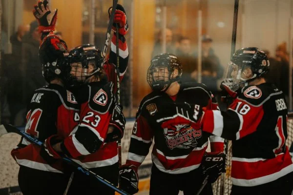hockey goal celebration